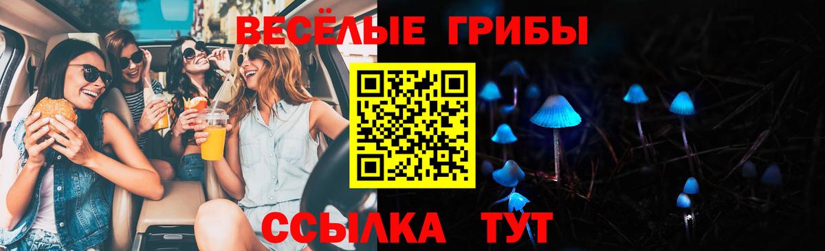 как найти закладки  Галлюциногенные грибы Psilocybine cubensis  Псилоцибиновые грибы GOLDEN TEACHER  Вход с VPN  Нарткала 